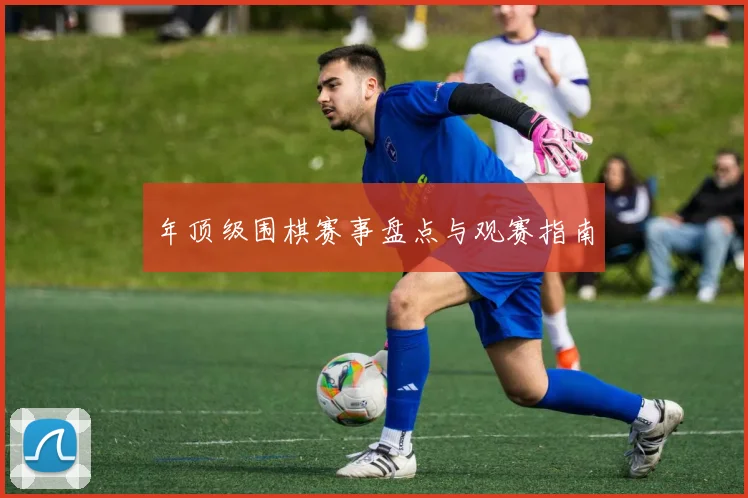 年顶级围棋赛事盘点与观赛指南